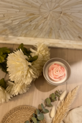 Cora’s Rose